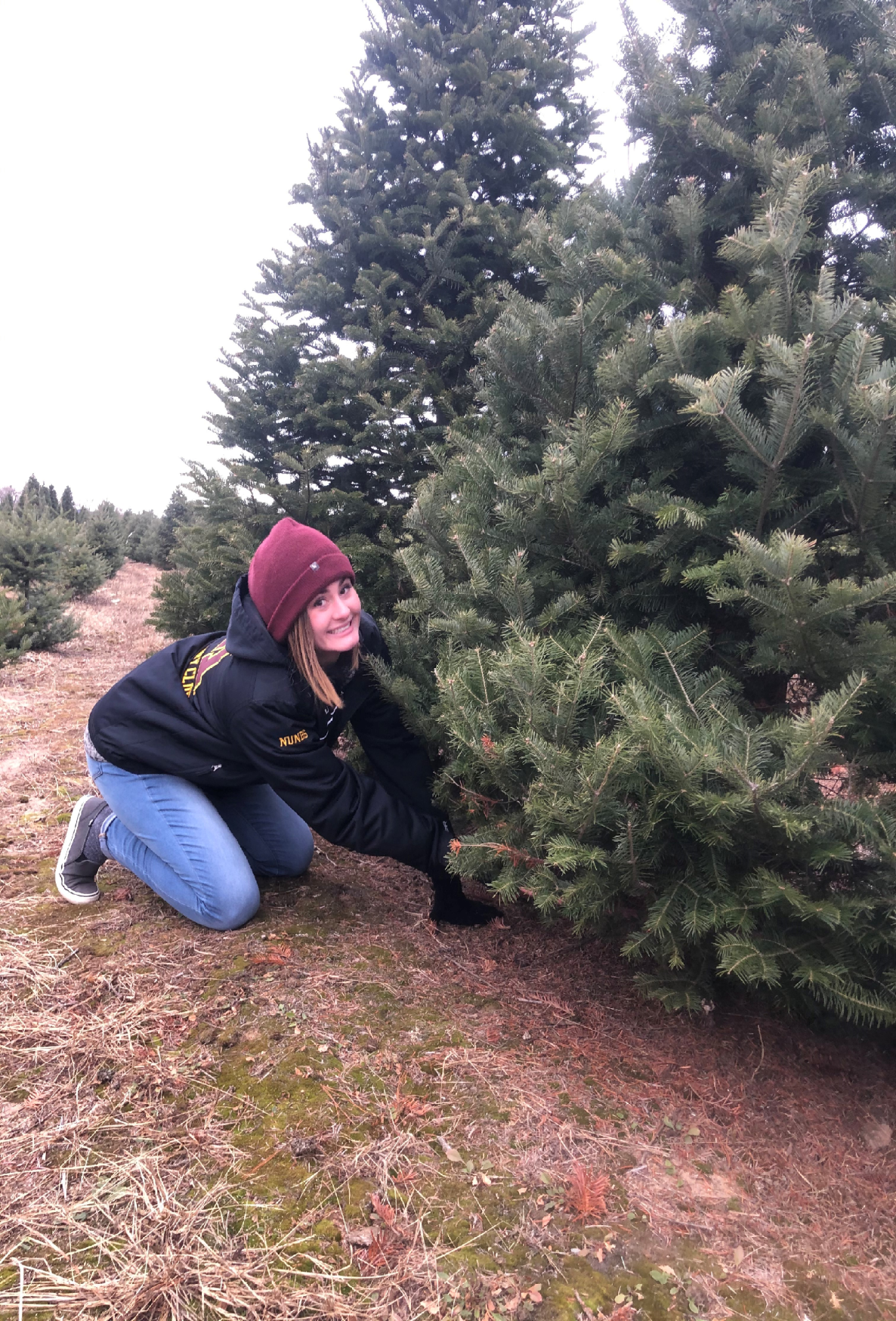 Julia Chopping a Christmas Tree.jpg